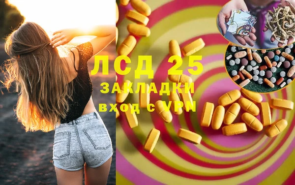 шишки Армянск