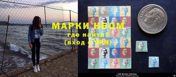 шишки Аркадак