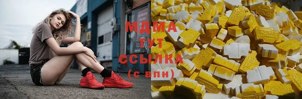 шишки Аркадак