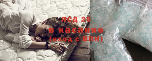 шишки Аркадак