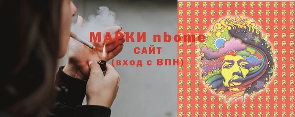 шишки Аркадак