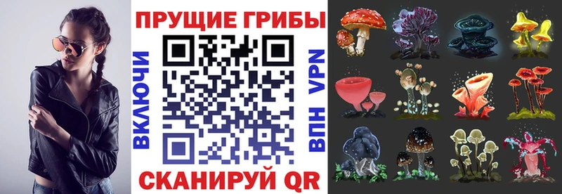 МЕГА tor  Качканар  Псилоцибиновые грибы MAGIC MUSHROOMS 