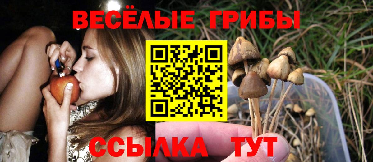 Псилоцибиновые грибы Cubensis  Вход с VPN  Качканар  Псилоцибиновые грибы Magic Shrooms 
