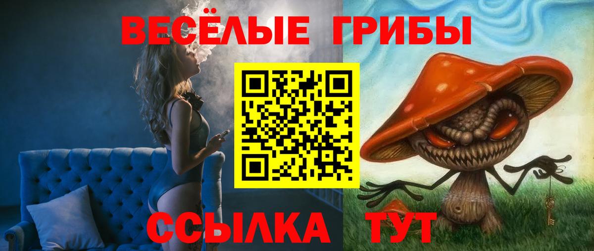 Галлюциногенные грибы мицелий Качканар